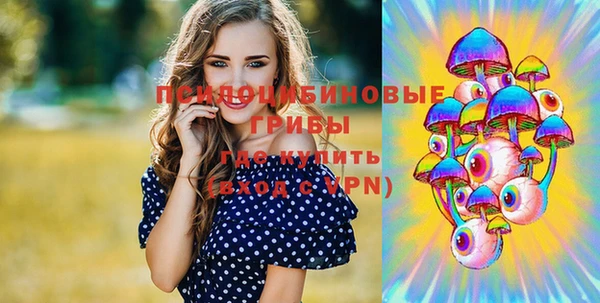 spice Дмитровск